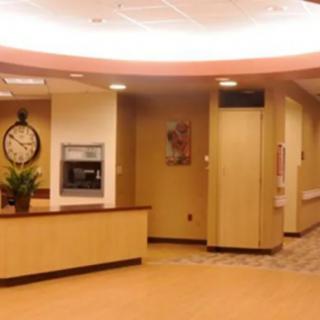 A modern lobby area with a reception desk and decorative elements.