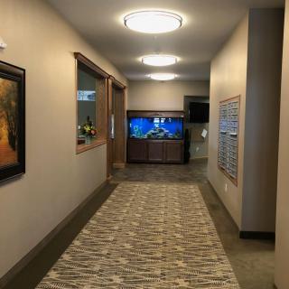 A modern hallway with a carpeted floor, artwork on the walls, and an aquarium at the end.