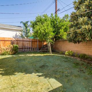 A sunny backyard featuring green grass, trees, and a wooden fence.