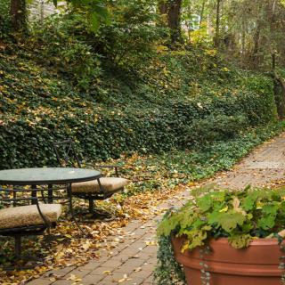 A peaceful garden path lined with ivy and foliage, featuring an outdoor seating area.