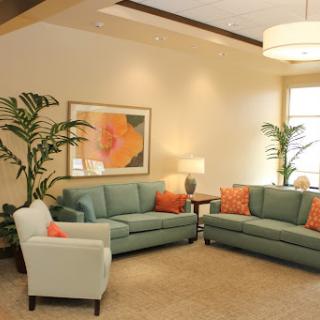 A cozy living room setup featuring teal sofas, vibrant cushions, and lush greenery.
