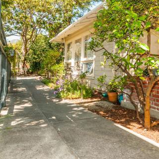A sunny driveway alongside a house, surrounded by lush greenery and potted plants.