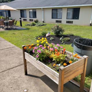 A vibrant flower bed adds color to the outdoor space in a residential area.