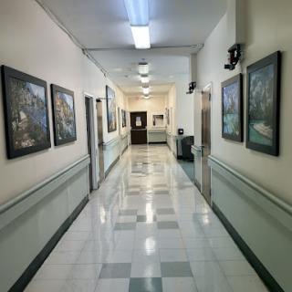 A well-lit hospital hallway adorned with framed artwork on the walls.