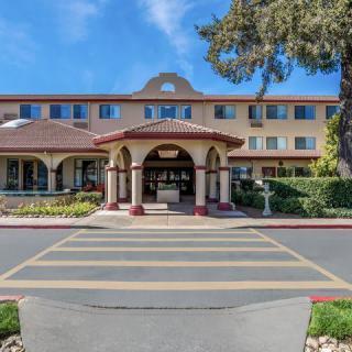 A hotel entrance with landscaped surroundings and clear blue sky.