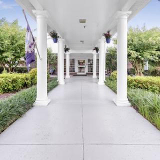 A serene entrance pathway adorned with elegant columns and lush greenery.