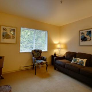 Cozy living room with a sofa, chair, and soft lighting.