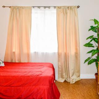 A cozy bedroom with a red bedspread, beige curtains, and a potted plant by the window.