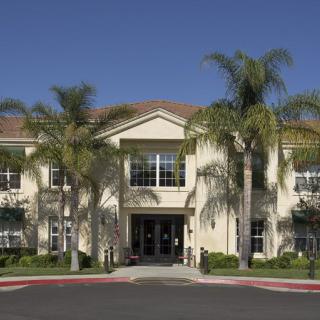 A sunny day view of a building entrance surrounded by palm trees and well-maintained landscaping.