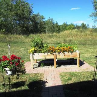A serene garden scene featuring colorful raised flower beds and a grassy landscape in the background.