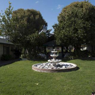 A tranquil garden scene featuring a fountain surrounded by grass and trees.