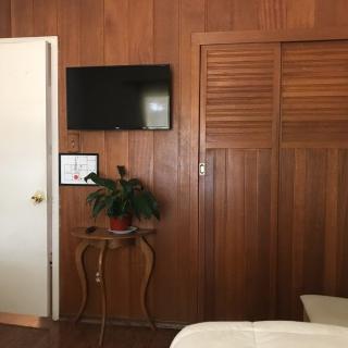 A room with wood-paneled walls, featuring a TV, potted plant on a small table, closet doors, and an open door.