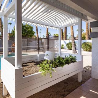An outdoor garden planter under a pergola in a sunny backyard.