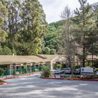 A serene entrance to a building surrounded by trees and greenery.