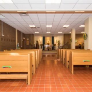 An interior view of a church with wooden pews and an altar at the front.