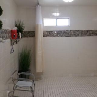 An accessible bathroom with a shower area, equipped with a handicap chair and decorative plants.
