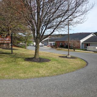 A serene view of a winding pathway lined with trees and buildings.
