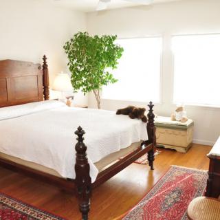 A bright bedroom with wooden furniture and a large bed, featuring natural lighting and indoor plants.