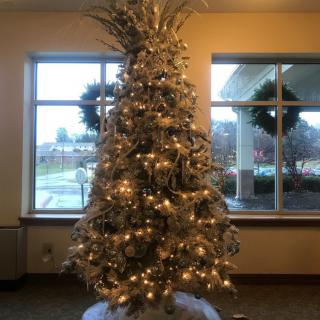 A beautifully decorated Christmas tree with glowing lights indoors.