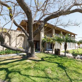 A suburban house with a large tree and well-maintained lawn.