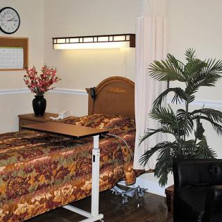 A hospital room with a patient bed, bedside table, and decorative elements including a wall clock and indoor plants.