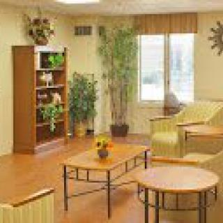 A cozy living room with comfortable seating, a bookshelf, and indoor plants.