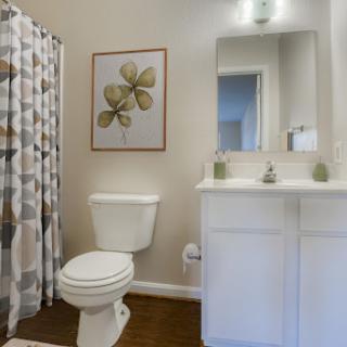 A stylish and contemporary bathroom featuring a well-organized sink area, a toilet, and decorative elements.