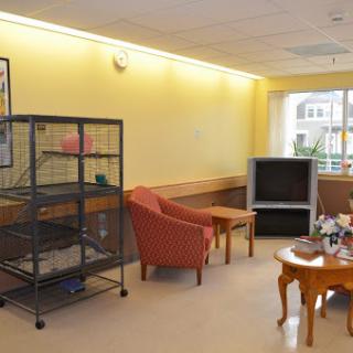 A cozy sitting area featuring a cage, television, and comfortable seating against yellow walls.