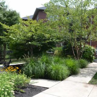A lush garden with a variety of plants and a pathway leading to a building.