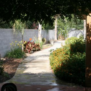 A sunlit garden pathway surrounded by lush greenery and plants.