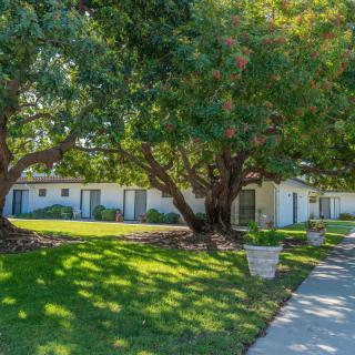 A residential house with a green lawn and trees providing shade over a sidewalk.