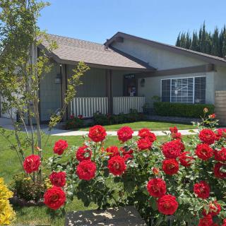 A charming house with a beautifully landscaped front yard featuring vibrant red roses.
