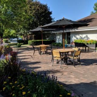 A sunny outdoor patio with tables, chairs, and umbrellas surrounded by greenery.