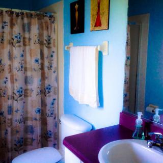 A vibrant bathroom with a purple countertop and floral shower curtain.