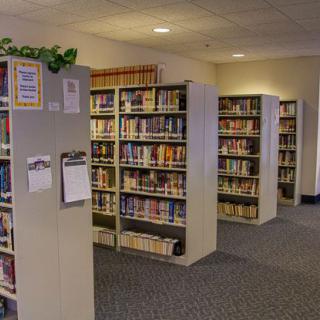 A quiet library with rows of bookshelves filled with various books.
