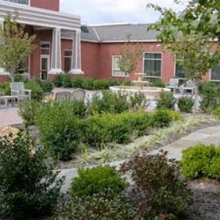 A serene garden setting featuring a variety of plants and a well-maintained pathway leading to a brick building.