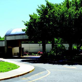 A driveway leading to a building entrance, surrounded by trees on a sunny day.