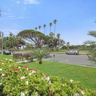 A scenic view of a parking lot surrounded by lush greenery and tall palm trees under a clear blue sky.