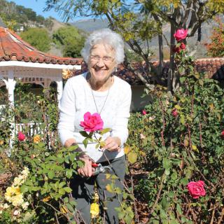 An elderly woman enjoying a sunny day in a garden full of roses.