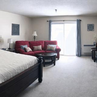 A spacious bedroom featuring a bed, sofa, and sliding glass doors.