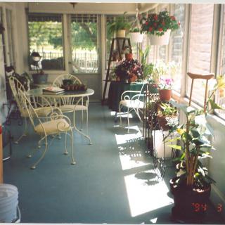 A sunlit room filled with plants and cozy furniture, creating a relaxing indoor garden atmosphere.