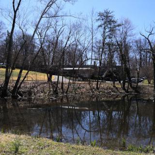 A tranquil scene featuring a pond surrounded by bare trees, capturing their reflection in the calm waters.