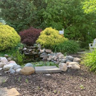 A beautifully landscaped garden featuring a small pond surrounded by rocks and lush foliage.