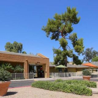 A sunny day view of a building surrounded by trees and plants.