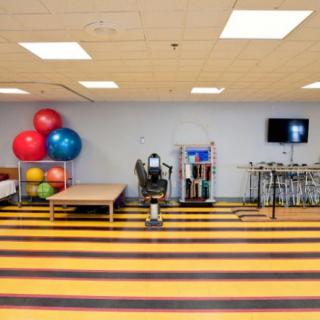 A well-equipped gym featuring exercise balls, a stationary bike, and various fitness equipment for training and rehabilitation.
