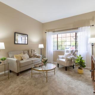 A cozy and well-lit living room with modern furniture and decor.