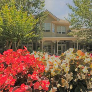 A charming house surrounded by vibrant flowers and trees on a sunny day.