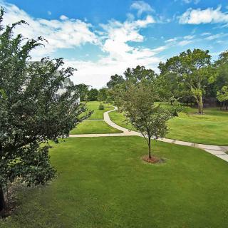 A scenic view of a park with lush green grass and winding pathways.
