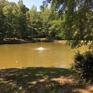 A serene pond surrounded by lush greenery and trees, with a fountain creating ripples in the water.