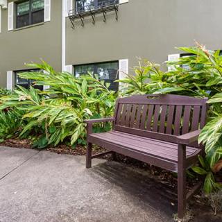 A wooden bench sits along a sidewalk in front of lush green plants by a building exterior.